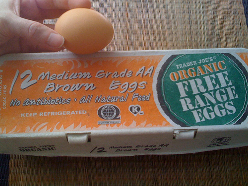 Trader Joe's Organic Free-Range Eggs Picture of Trader Joe's Organic Free-Range Eggs