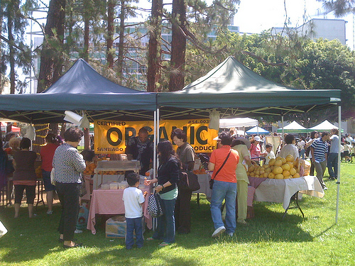 Certified Organic Produce at Farmers Market - Earth Day 2009