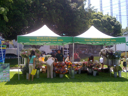 Fresh Cut Flowers during Earth Day 2009 at Wilshire Center