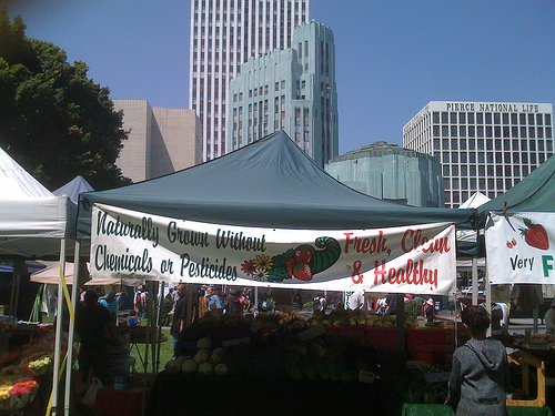Fruit Stand at Farmers Market for Earth Day 2009