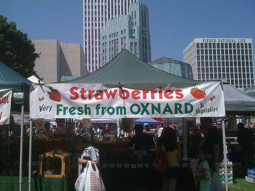 Strawberries Fresh from Oxnard - Sunny in LA